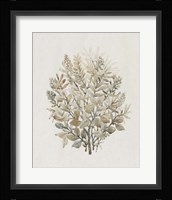 Leaf Arrangement II Framed Print
