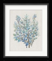 Leaf Arrangement III Framed Print