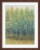 Woodland Edge II Fine Art Print