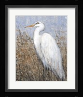 White Heron II Framed Print
