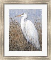 White Heron II Fine Art Print