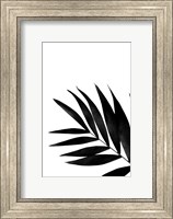 Black Palms II Fine Art Print