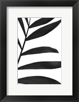 Black Palms V Fine Art Print