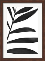 Black Palms V Fine Art Print