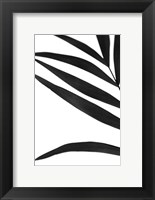 Black Palms VI Fine Art Print