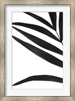 Black Palms VI Fine Art Print
