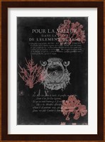 Pour La Mer I Fine Art Print