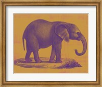 Safari Pop I Fine Art Print