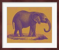 Safari Pop I Fine Art Print