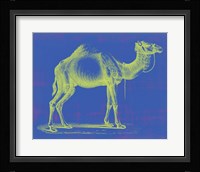 Safari Pop III Fine Art Print