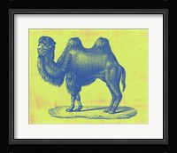 Safari Pop IV Fine Art Print