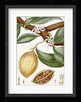 Turpin Tropical Fruit II Fine Art Print