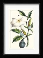Turpin Exotic Botanical I Fine Art Print