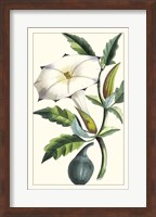 Turpin Exotic Botanical I Fine Art Print