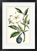 Turpin Exotic Botanical I Fine Art Print