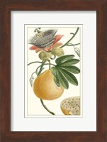 Turpin Exotic Botanical III Fine Art Print