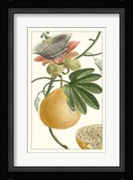 Turpin Exotic Botanical III Fine Art Print