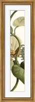 Turpin Exotic Botanical V Fine Art Print