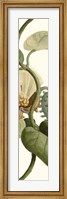 Turpin Exotic Botanical V Fine Art Print