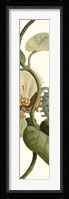 Turpin Exotic Botanical V Fine Art Print