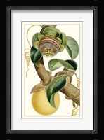 Turpin Exotic Botanical VII Fine Art Print