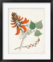 Botanical of the Tropics I Fine Art Print