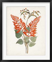 Botanical of the Tropics II Fine Art Print
