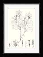 Illustrative Leaves I Fine Art Print