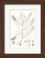 Illustrative Leaves IV Fine Art Print