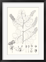 Illustrative Leaves IV Fine Art Print