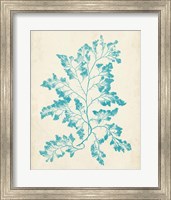 Aquamarine Seaweed I Fine Art Print