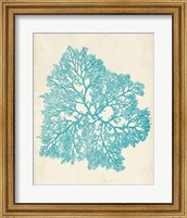 Aquamarine Seaweed V Fine Art Print