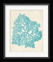 Aquamarine Seaweed V Framed Print