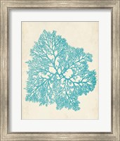 Aquamarine Seaweed V Fine Art Print