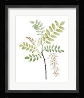 Soft Green Botanical I Fine Art Print