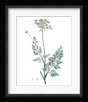 Soft Green Botanical V Fine Art Print