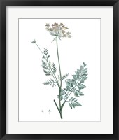 Soft Green Botanical V Framed Print