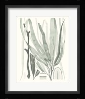 Sage Green Seaweed II Framed Print