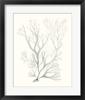 Sage Green Seaweed V Framed Print