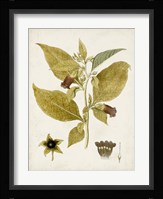 Vintage Charm VI Fine Art Print