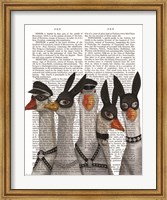 Geese Guys Book Print Fine Art Print