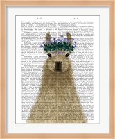 Llama Bohemian 1 Book Print Fine Art Print