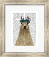 Llama Bohemian 1 Book Print Fine Art Print