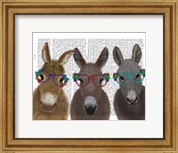 Donkey Trio Flower Glasses Book Print Fine Art Print