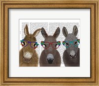 Donkey Trio Flower Glasses Book Print Fine Art Print