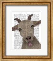 Funny Farm Goat 2 Book Print Fine Art Print