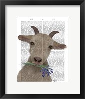 Goat and Bluebells Book Print Fine Art Print