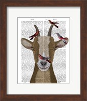 Goat and Red Birds Book Print Fine Art Print