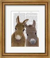 Donkey Duo, Looking at You Book Print Fine Art Print