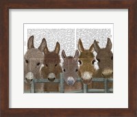 Donkey Herd at Fence Book Print Fine Art Print